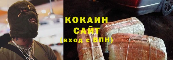 шишки Алексеевка