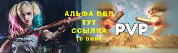 прущие крисы Абаза