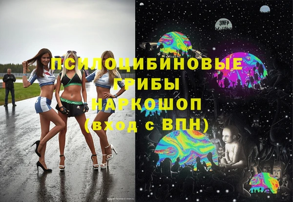 apvp Алзамай
